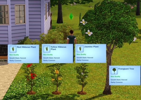 Sims 3 Better Woohoo Mod