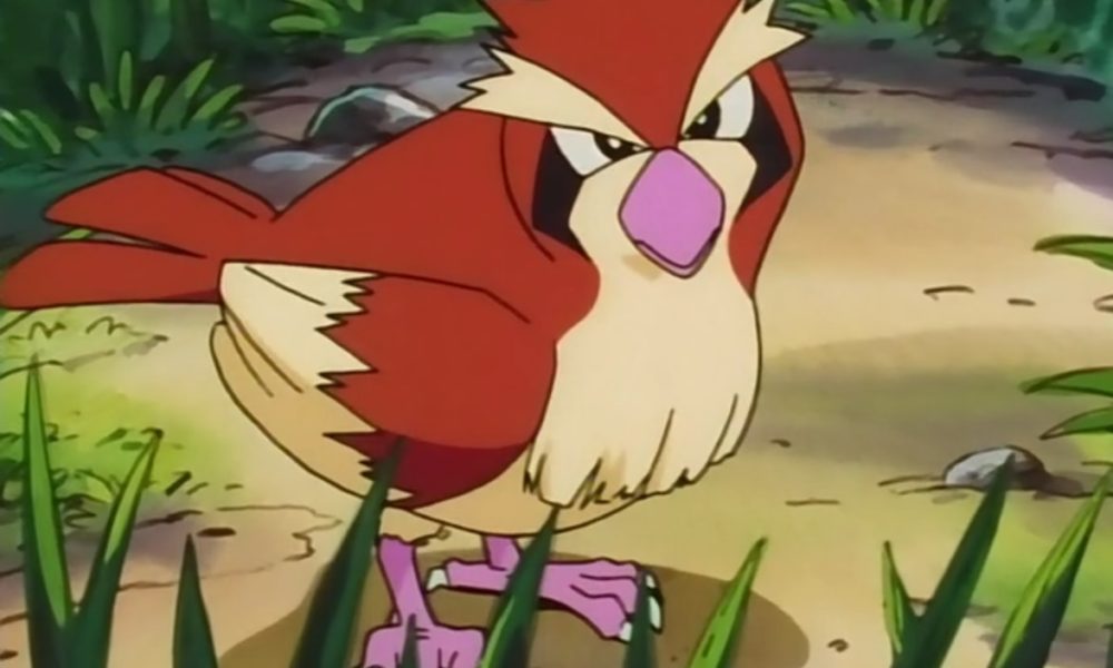 the-evolution-of-pokemon-s-starting-birds-from-pidgey-to-pikipek