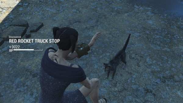 Fallout 4 Catmeat cat mod companion