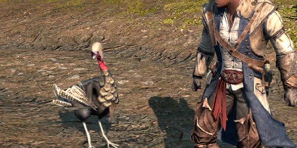 assassin's turkeys