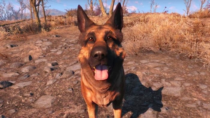 Fallout 4, Cryolator, Dogmeat, glitch, get early