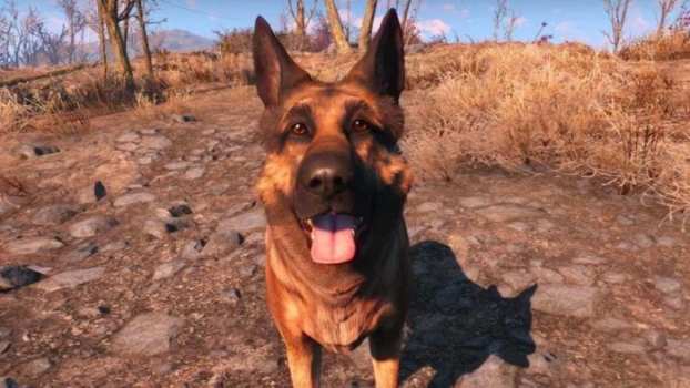 Stronger Dogmeat