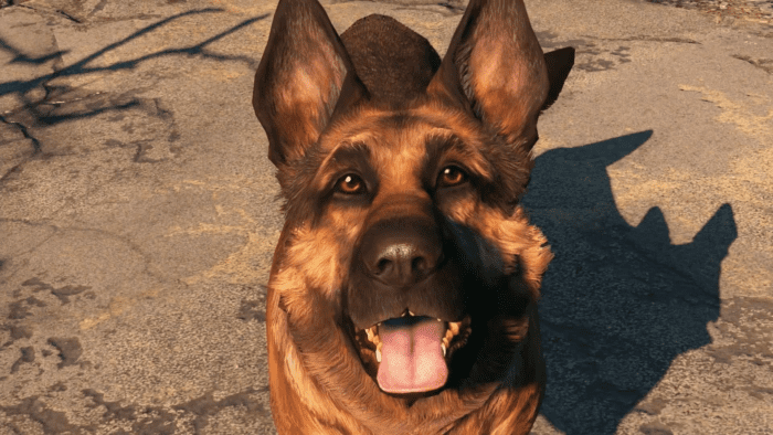 Fallout 4 VR, best, top, dogs, video games