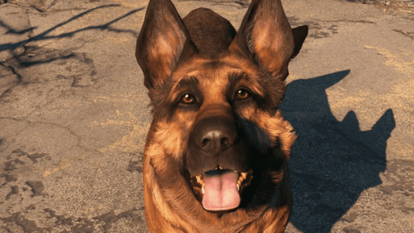 fallout-4-dogmeat-companion