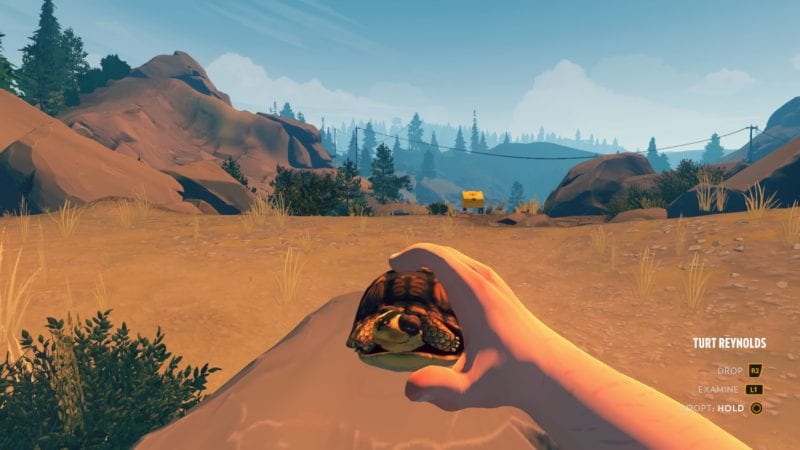 Firewatch, turtle, how to get, pet