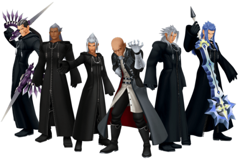 organization 13