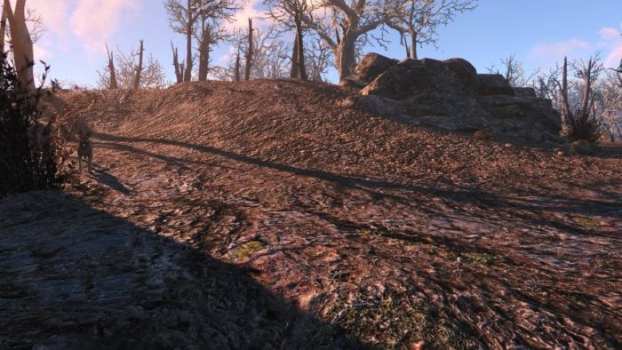 Vivid Fallout - Landscapes