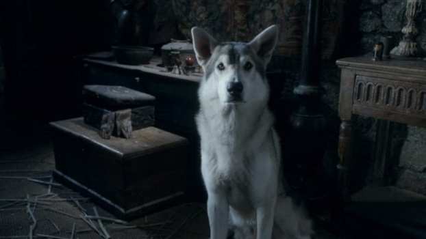 2. Which direwolf was supposed to be sentenced to death after Joffrey got struck in Season 1?