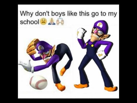 These Waluigi Memes Will Change Your Life For the Worse