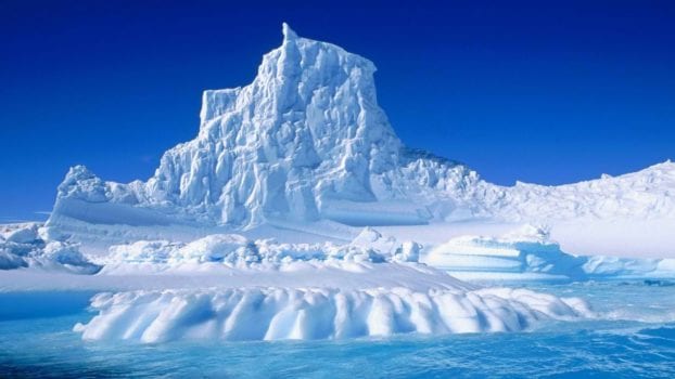 Antarctica - Articuno