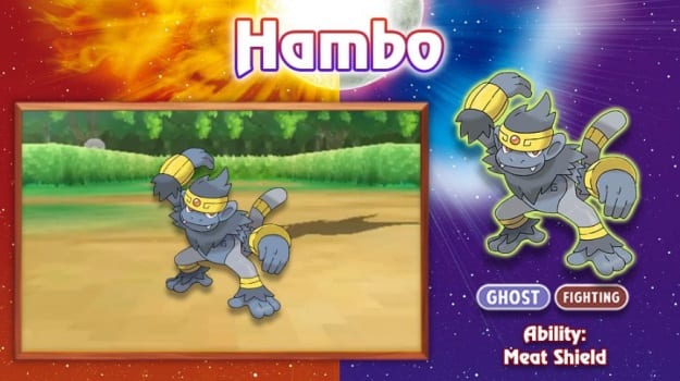 Hambo Pokemon