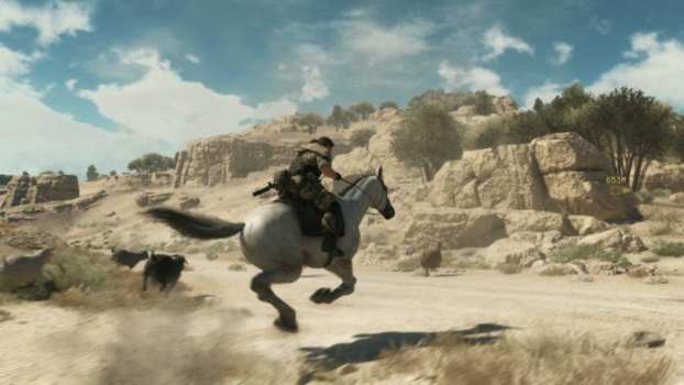 D-Horse (Metal Gear Solid V) - Dressage