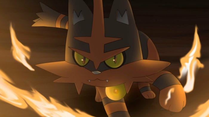 Torracat