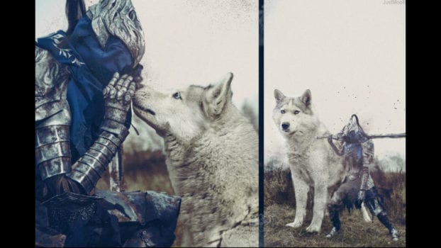 Knight Artorias and Sif, The Great Grey Wolf - Dark Souls