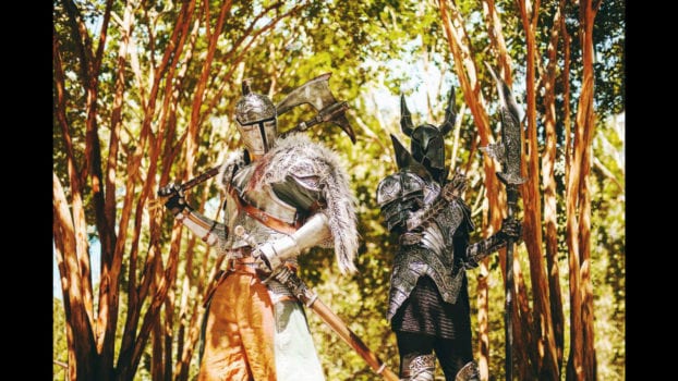 Faraam Armor Set and Black Knight - Dark Souls II