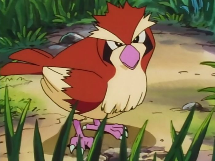 Array af Lave om forfader The Evolution of Pokemon's Starting Birds, From Pidgey to Pikipek