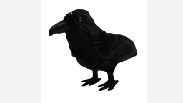 Three-Eyed Raven Plush
