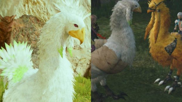 Check Out How Final Fantasy's Chocobos Have Changed Through the Years