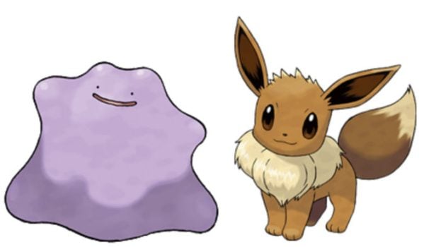 Let's start off easy. Can a Ditto breed with an Eevee?