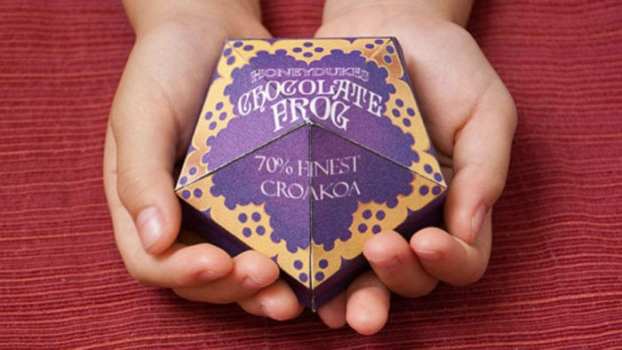 Chocolate Frog with a Wizard Card