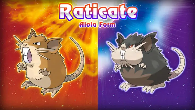 alolan raticate, pokemon, sun and moon