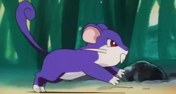 Rattata Pokemon