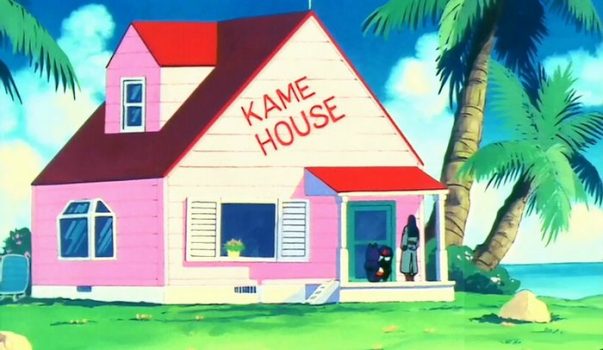 Vegeta Has Never Been to the Kame House