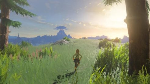 Breath of the Wild, The Legend of Zelda, Switch
