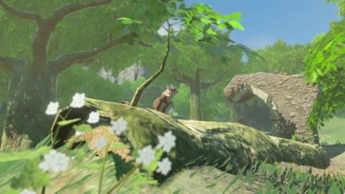 Breath of the Wild, The Legend of Zelda, Switch