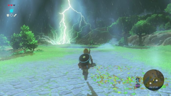 breath of the wild, details