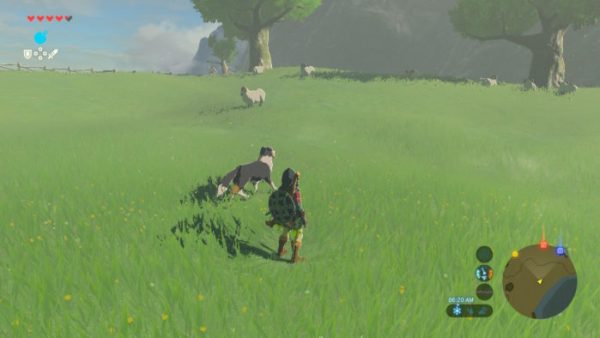 breath of the wild dog