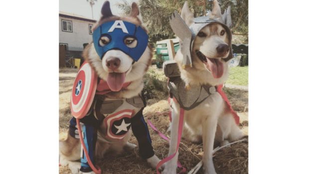 Captain America and Thor