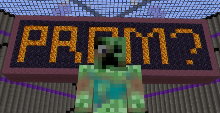 prom, gamer, promposal, Minecraft