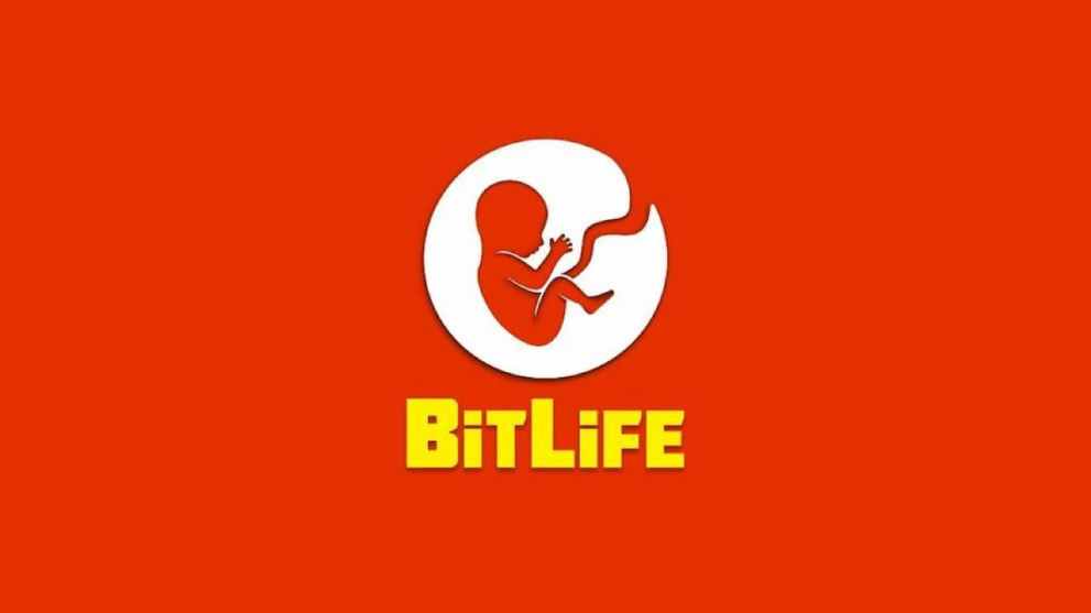 Games Like The Sims: BitLife