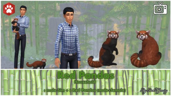 Best Sims 4 Cats & Dogs Mods (2021)