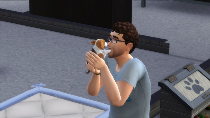 sims 4 cats & dogs