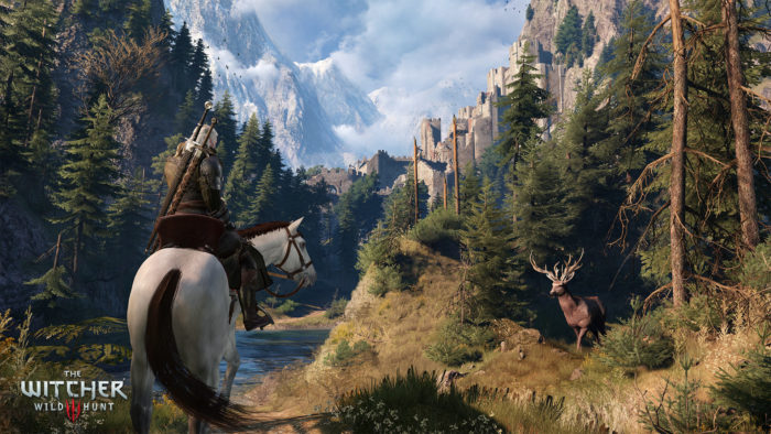 The Witcher 3 Horse