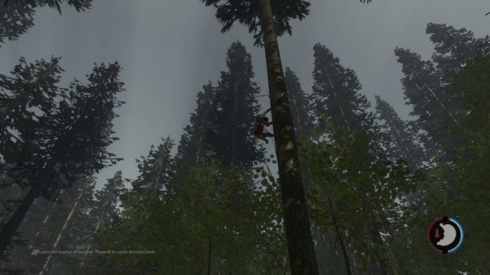 best the forest mods, the forest mods, awesome forest mods, best forest mods
