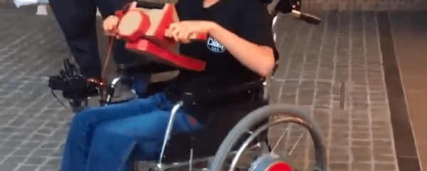Nintendo Labo Wheelchair