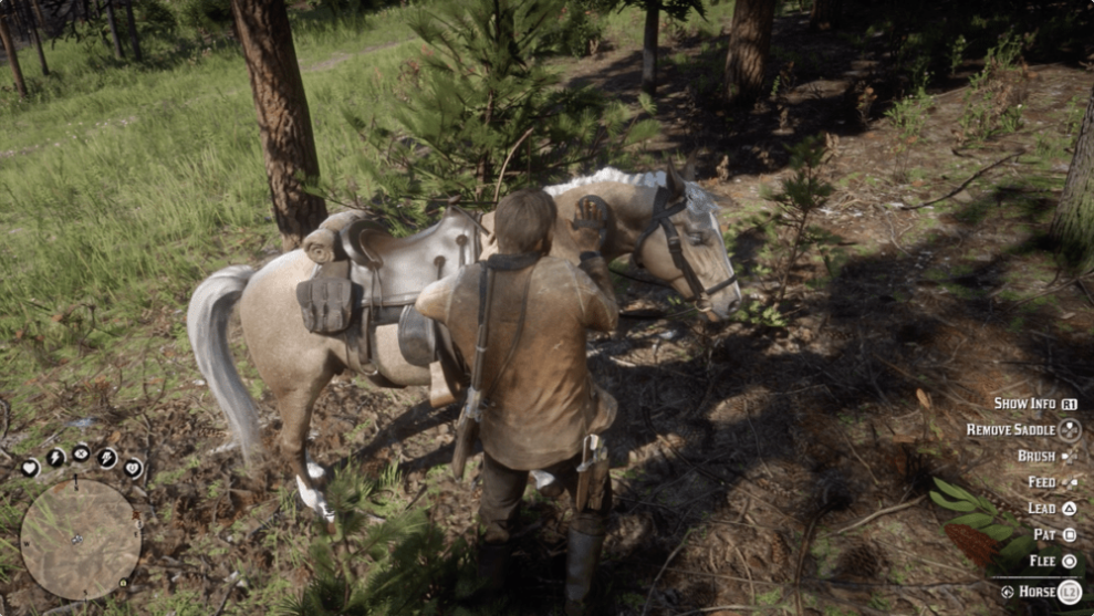 Your Horse Doesn't Like Carrying Things