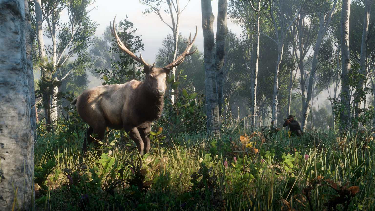 Red Dead Redemption 2 How to Get Perfect Pelts for Every Animal & What