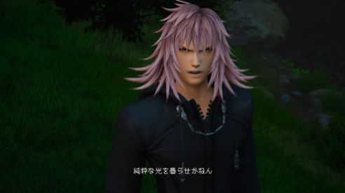 KingdomHeartsIII (16)