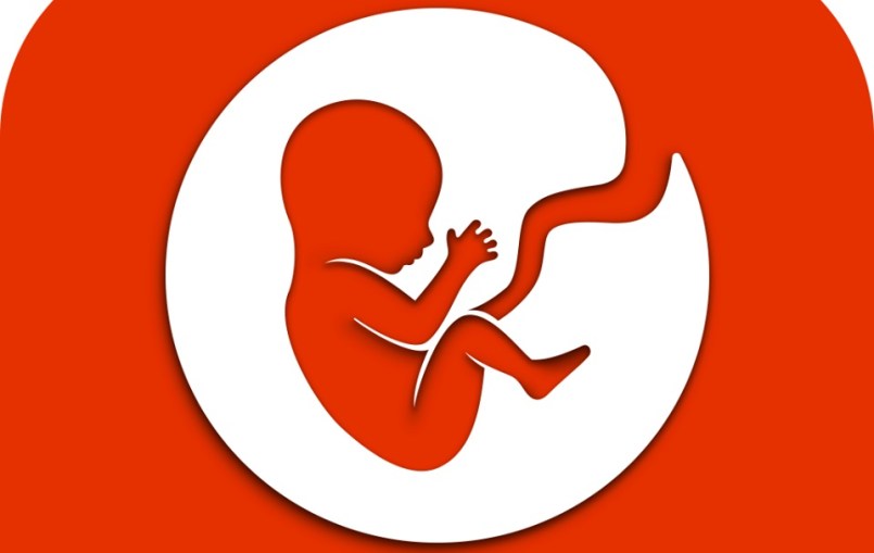 Bitlife How to Get Into Law School Twinfinite