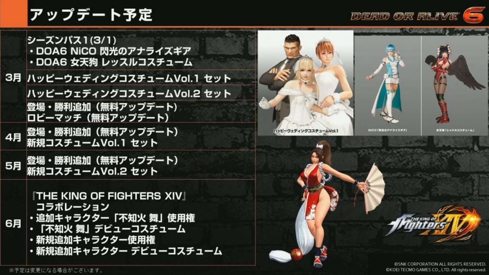 DOA6 (4)