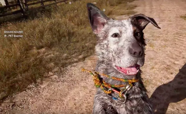 Far Cry 5, Pet the Dog