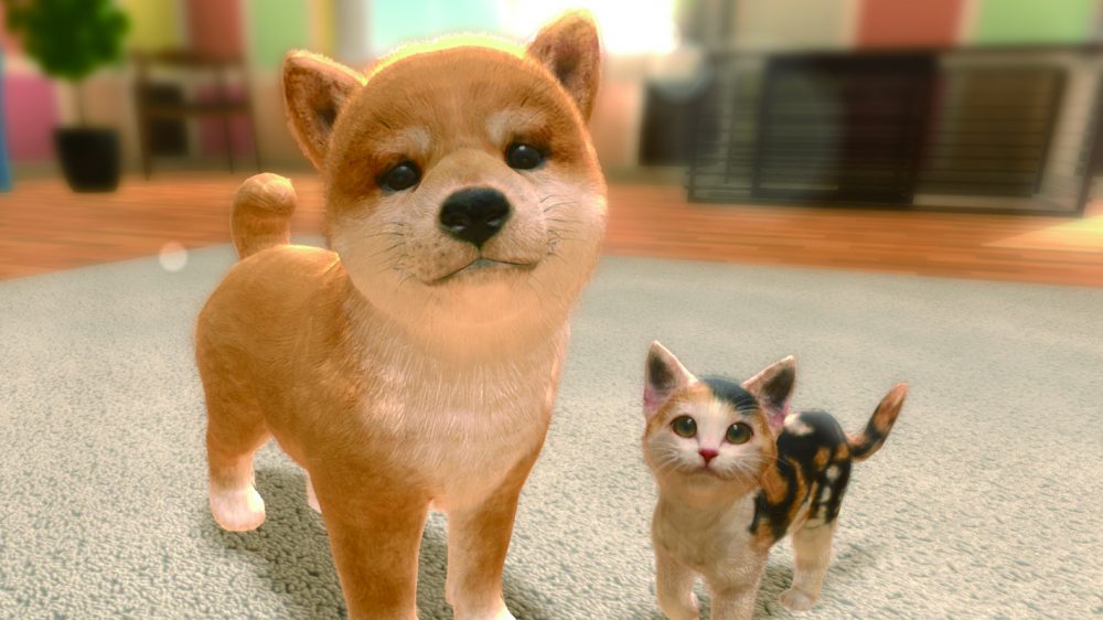 little friends: dogs and cats, nintendogs
