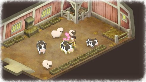 Doraemon Story of Seasons (14)