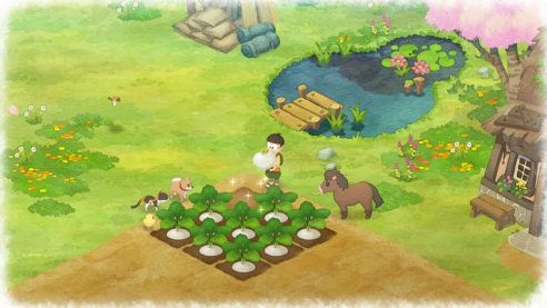 Doraemon Story of Seasons (15)