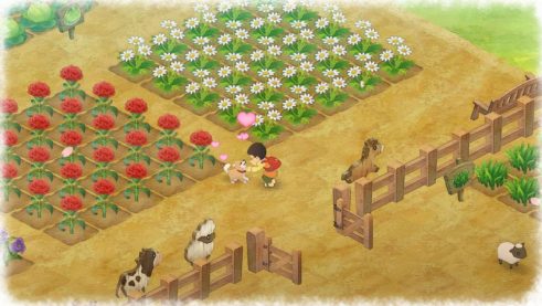 Doraemon Story of Seasons (6)