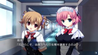 Grisaia Full Package (8)